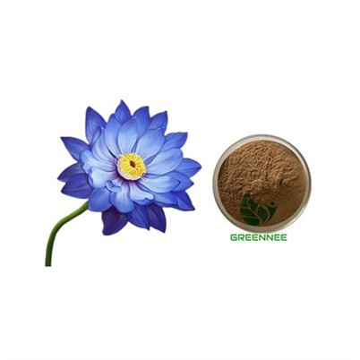 Zilais lotosa izraksts 10: 1; 50: 1; 100: 1