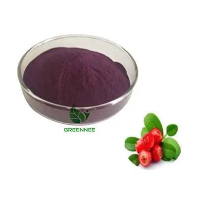 Organisks dzērveņu augļu ekstrakts dzērveņu sulas pulveris dzērveņu pulveris